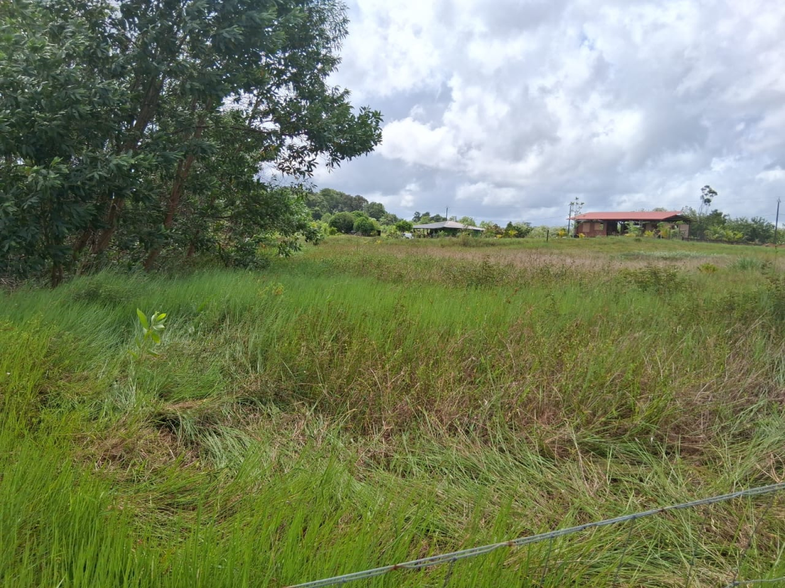 Image_, Terrain à batir, Kourou, ref :189-MAR-GUY