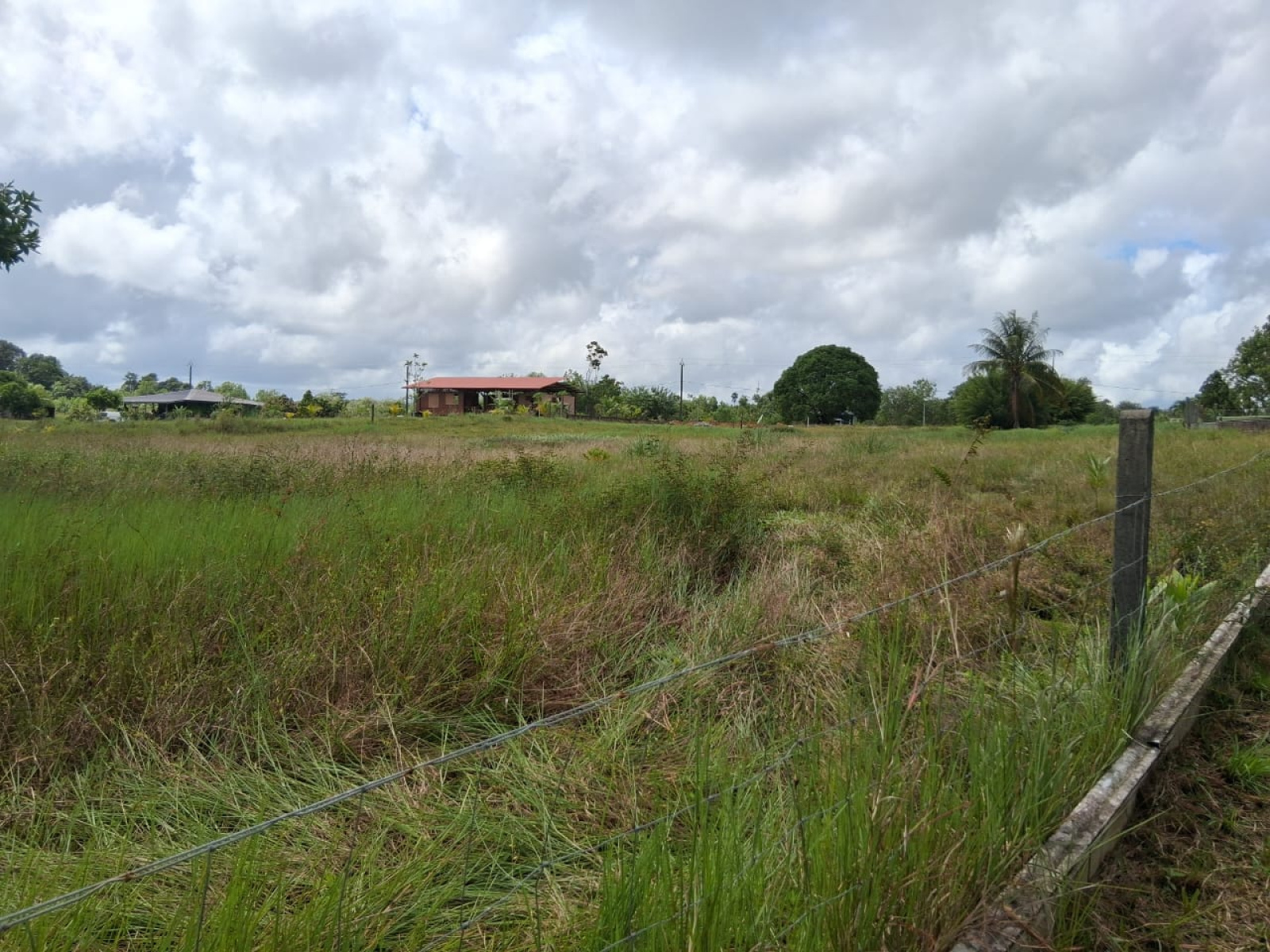 Image_, Terrain à batir, Kourou, ref :189-MAR-GUY