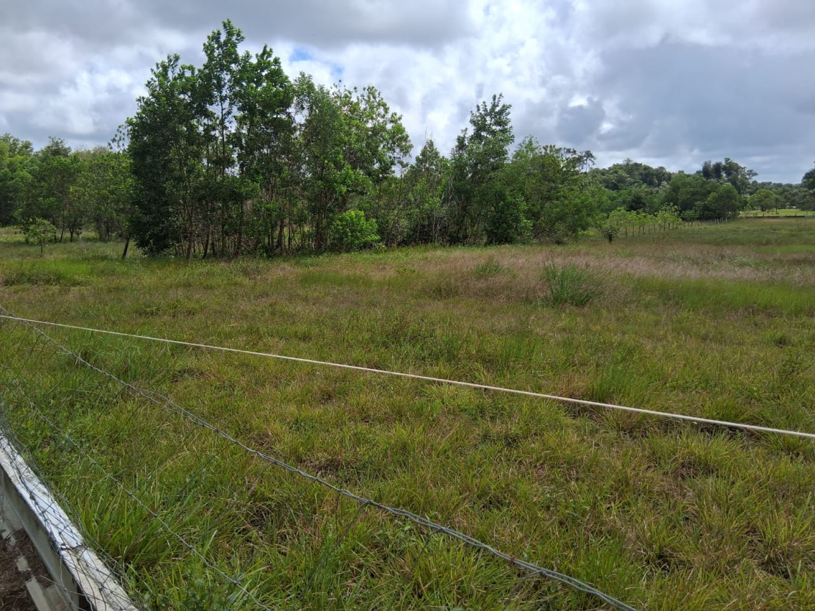 Image_, Terrain à batir, Kourou, ref :189-MAR-GUY