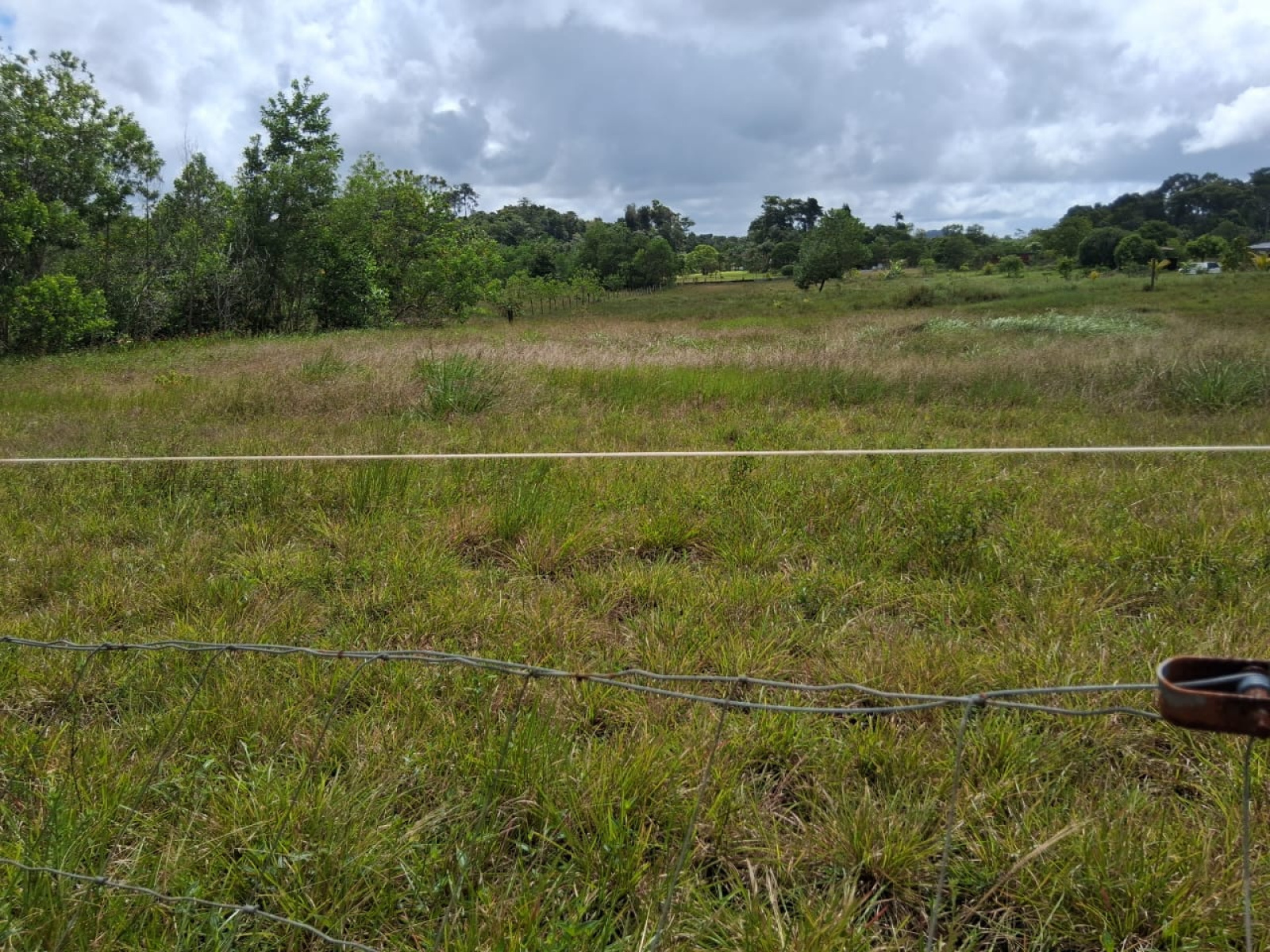 Image_, Terrain à batir, Kourou, ref :189-MAR-GUY