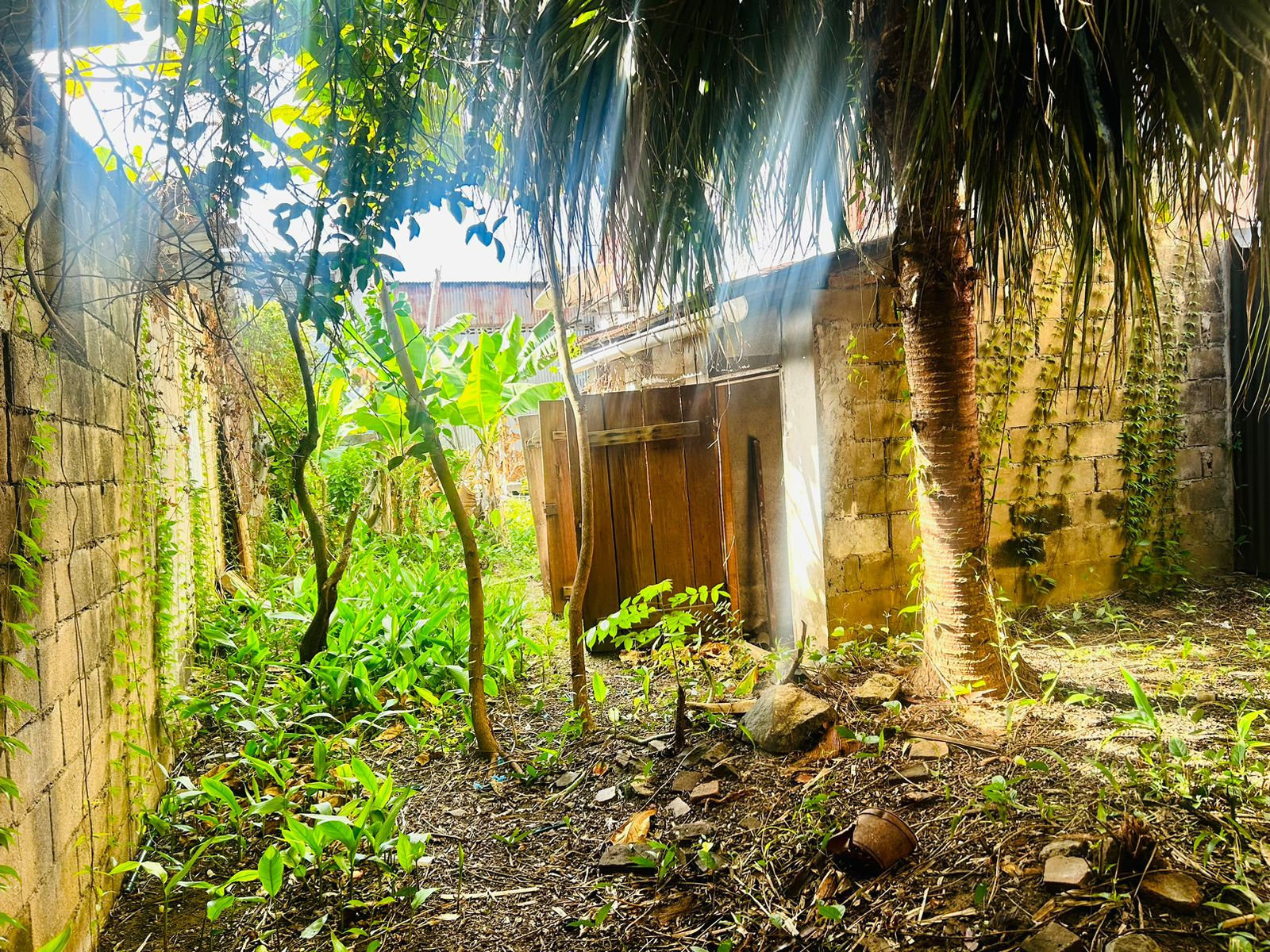 Image_, Maison, Cayenne, ref :GUY-184-VERN