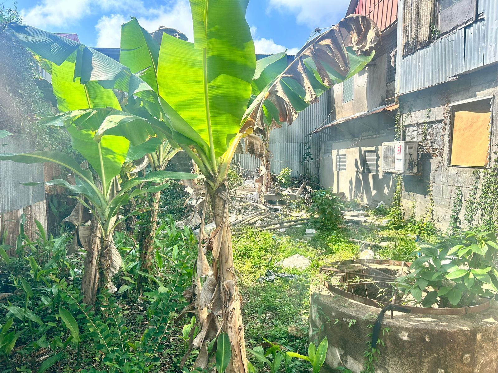 Image_, Maison, Cayenne, ref :GUY-184-VERN