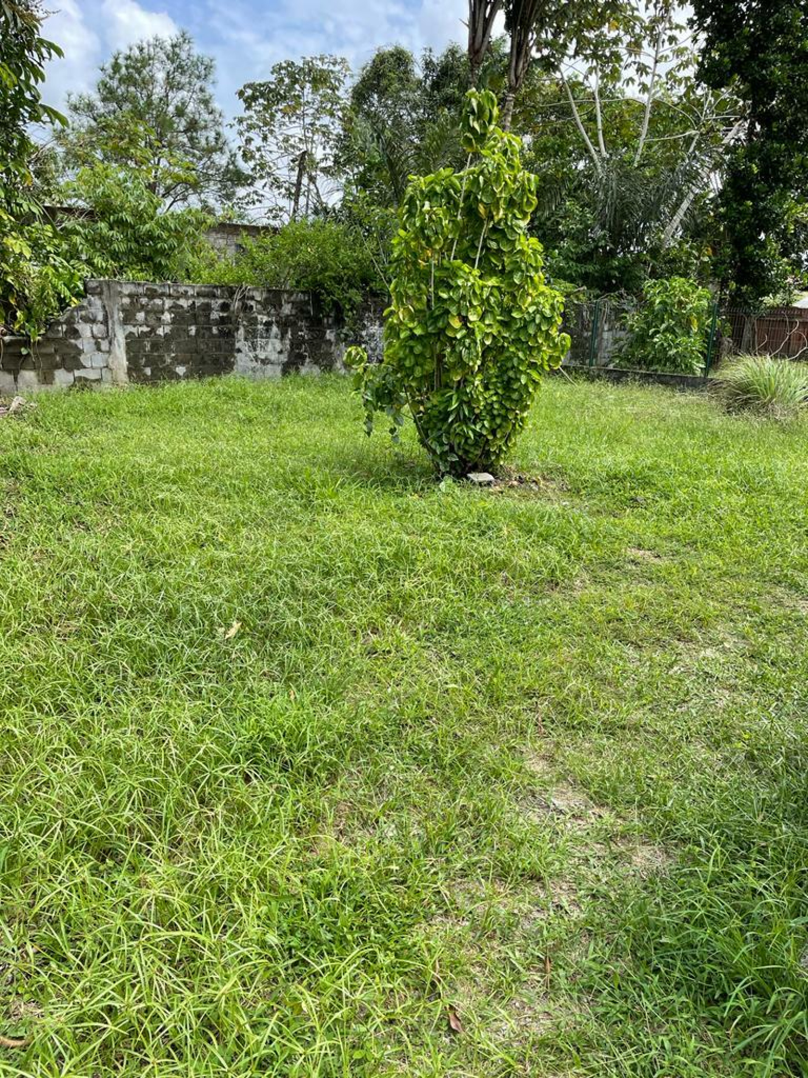 Image_, Appartement, Sinnamary, ref :TOR-T4