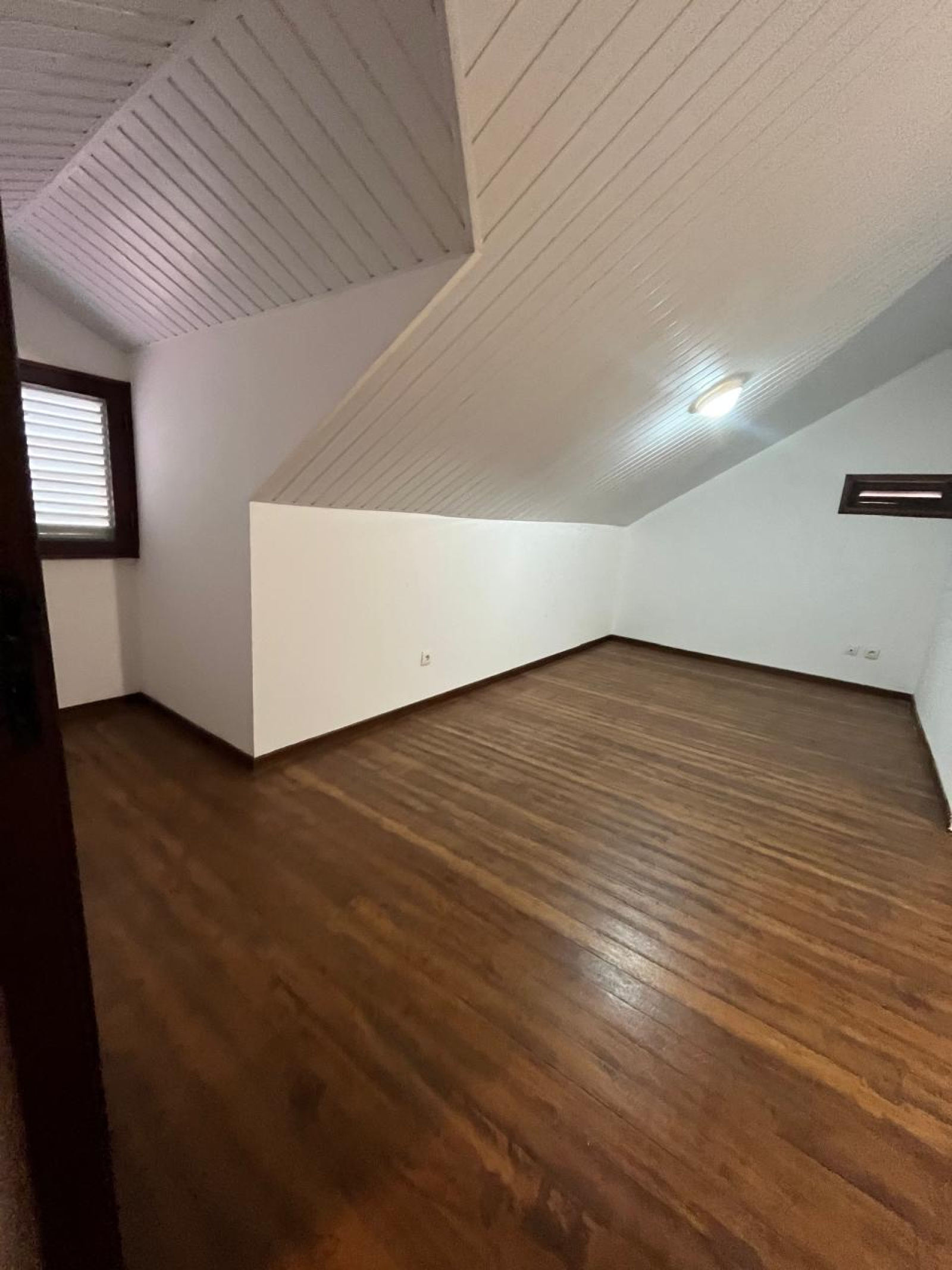 Image_, Duplex, Cayenne, ref :S.ESM-01