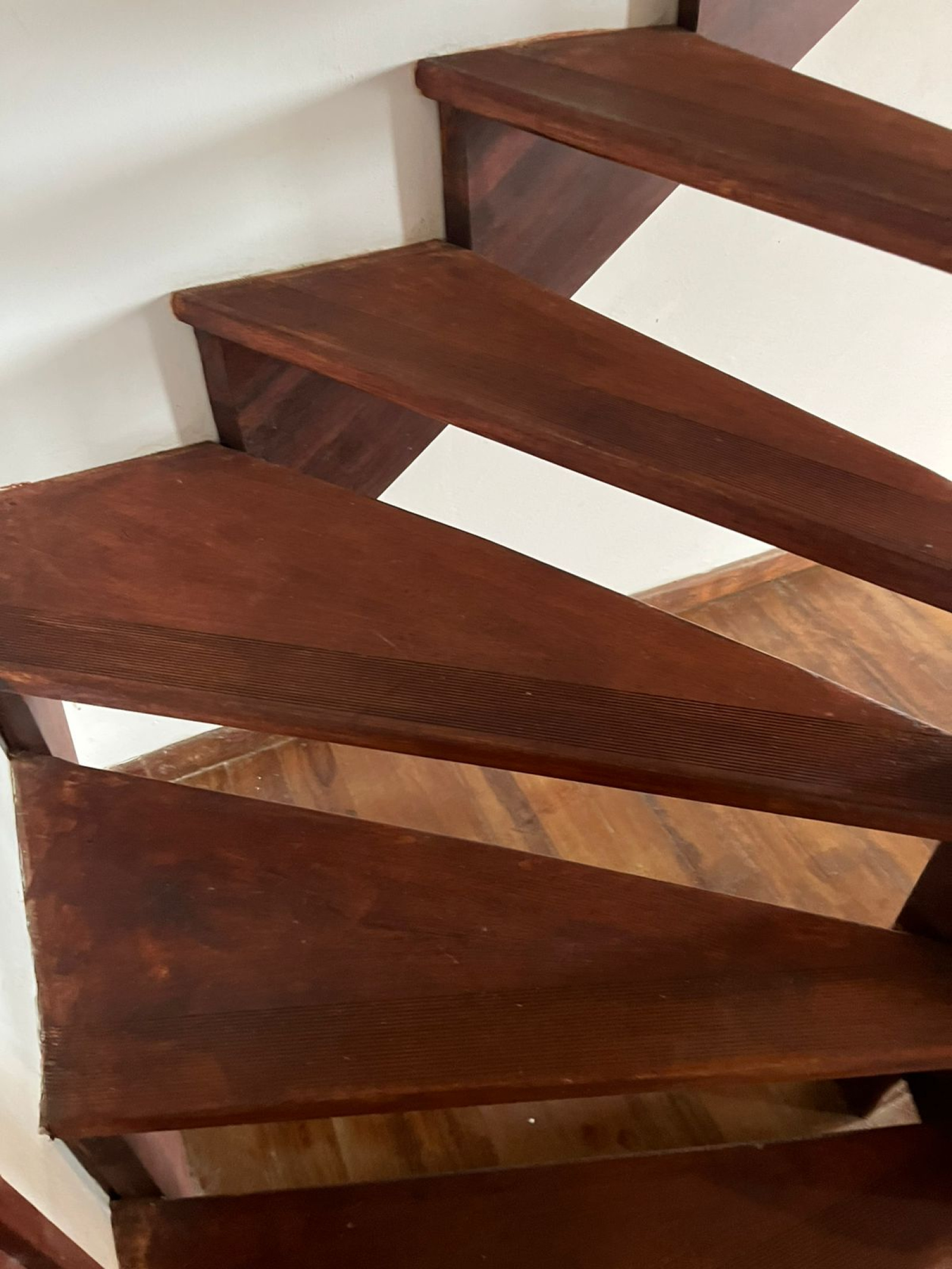 Image_, Duplex, Cayenne, ref :S.ESM-01