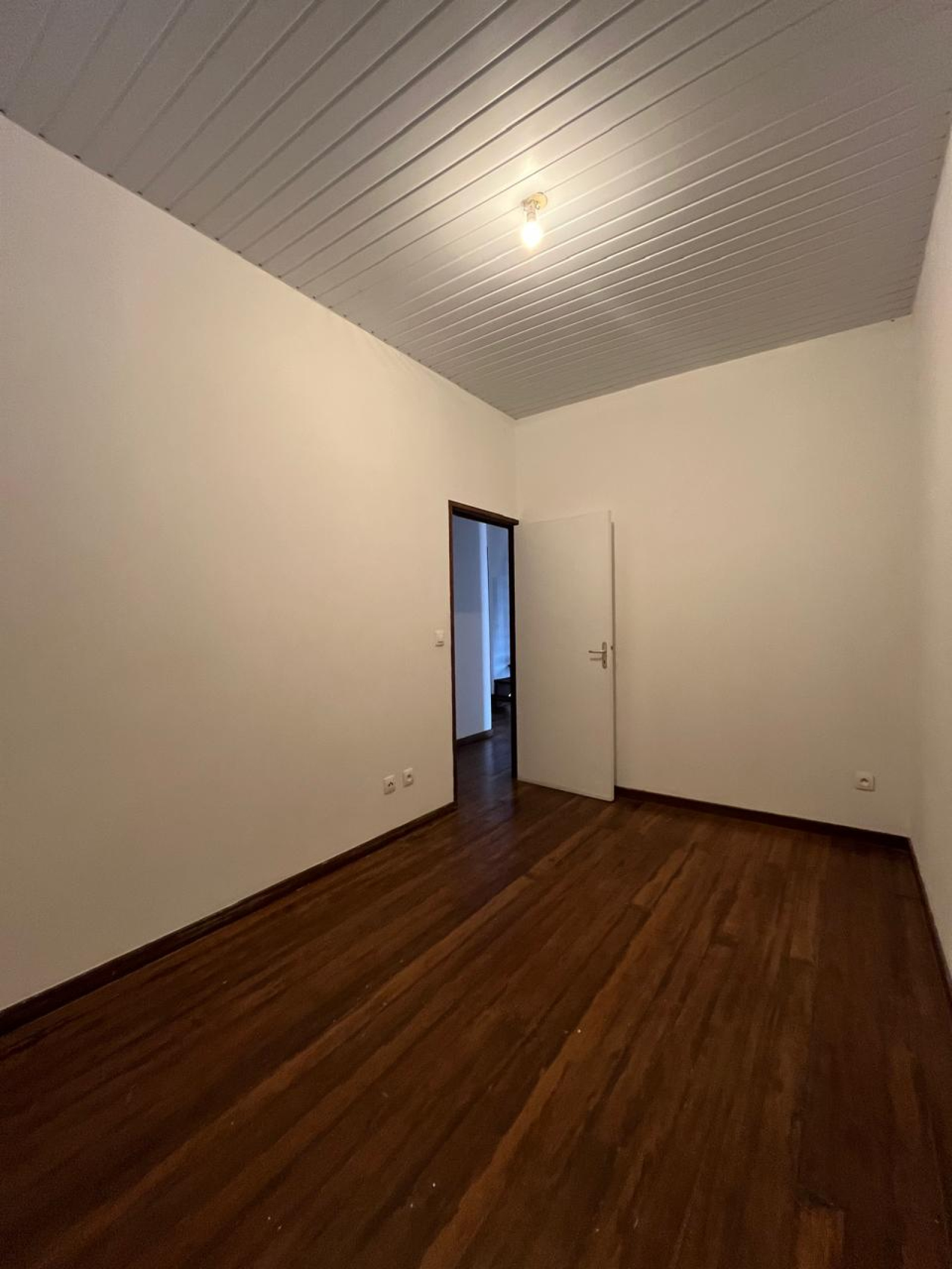 Image_, Duplex, Cayenne, ref :S.ESM-01