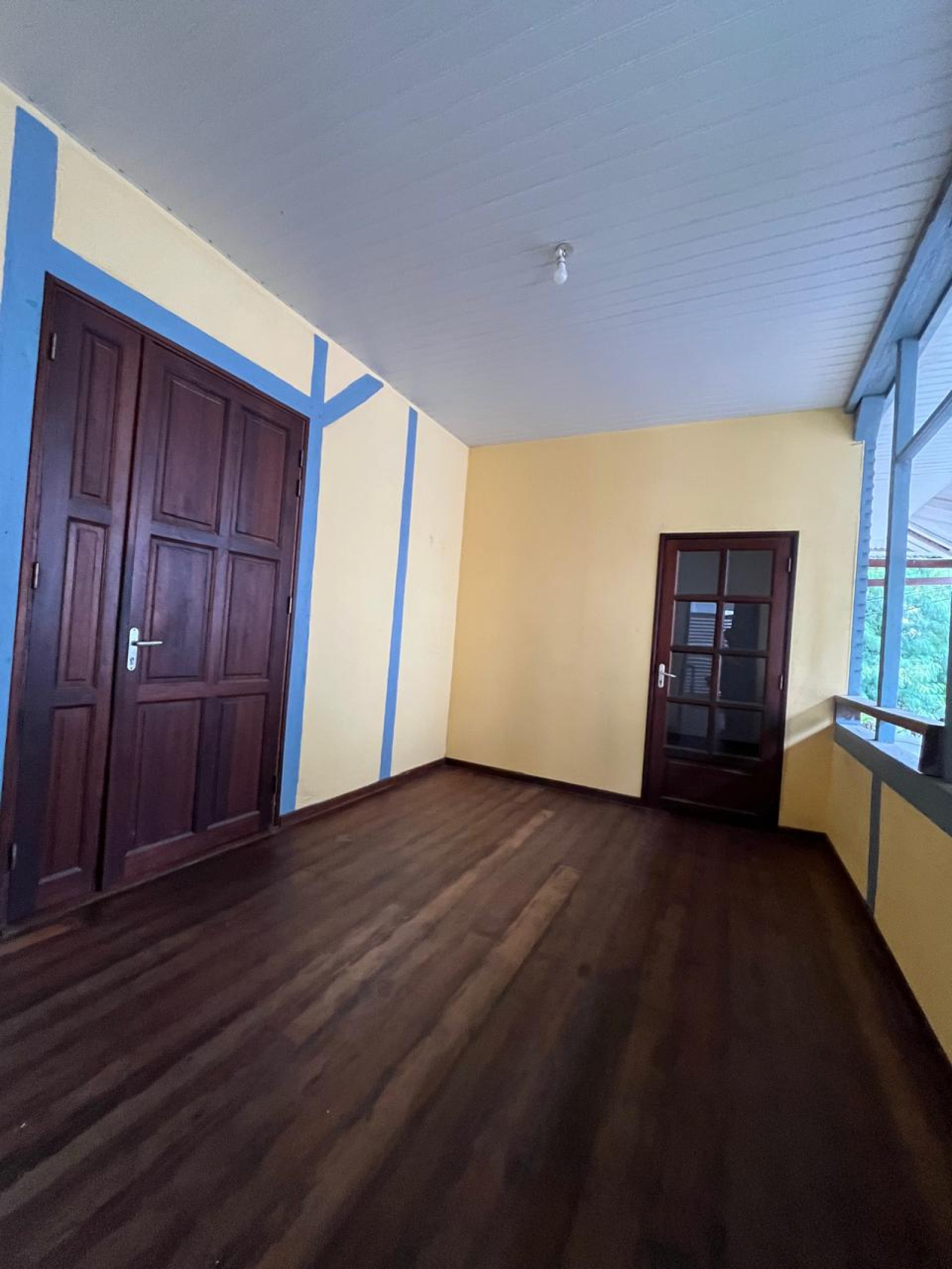 Image_, Duplex, Cayenne, ref :S.ESM-01