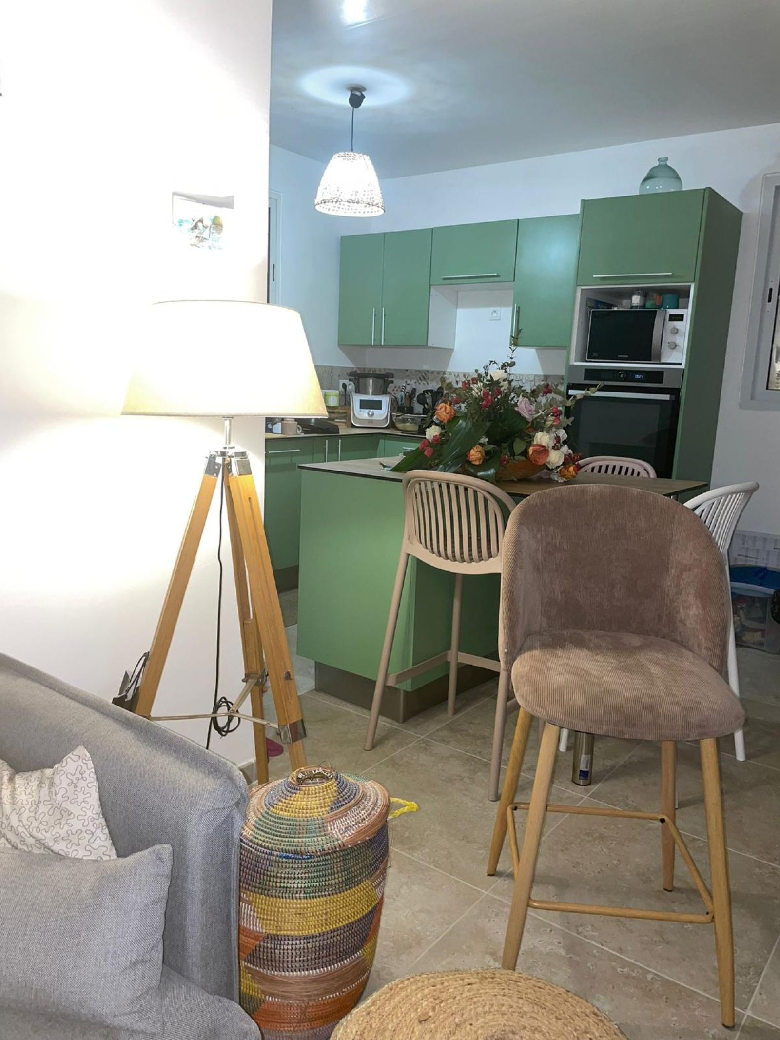 Image_, Maison, Gros-Morne, ref :LAR-ELZ