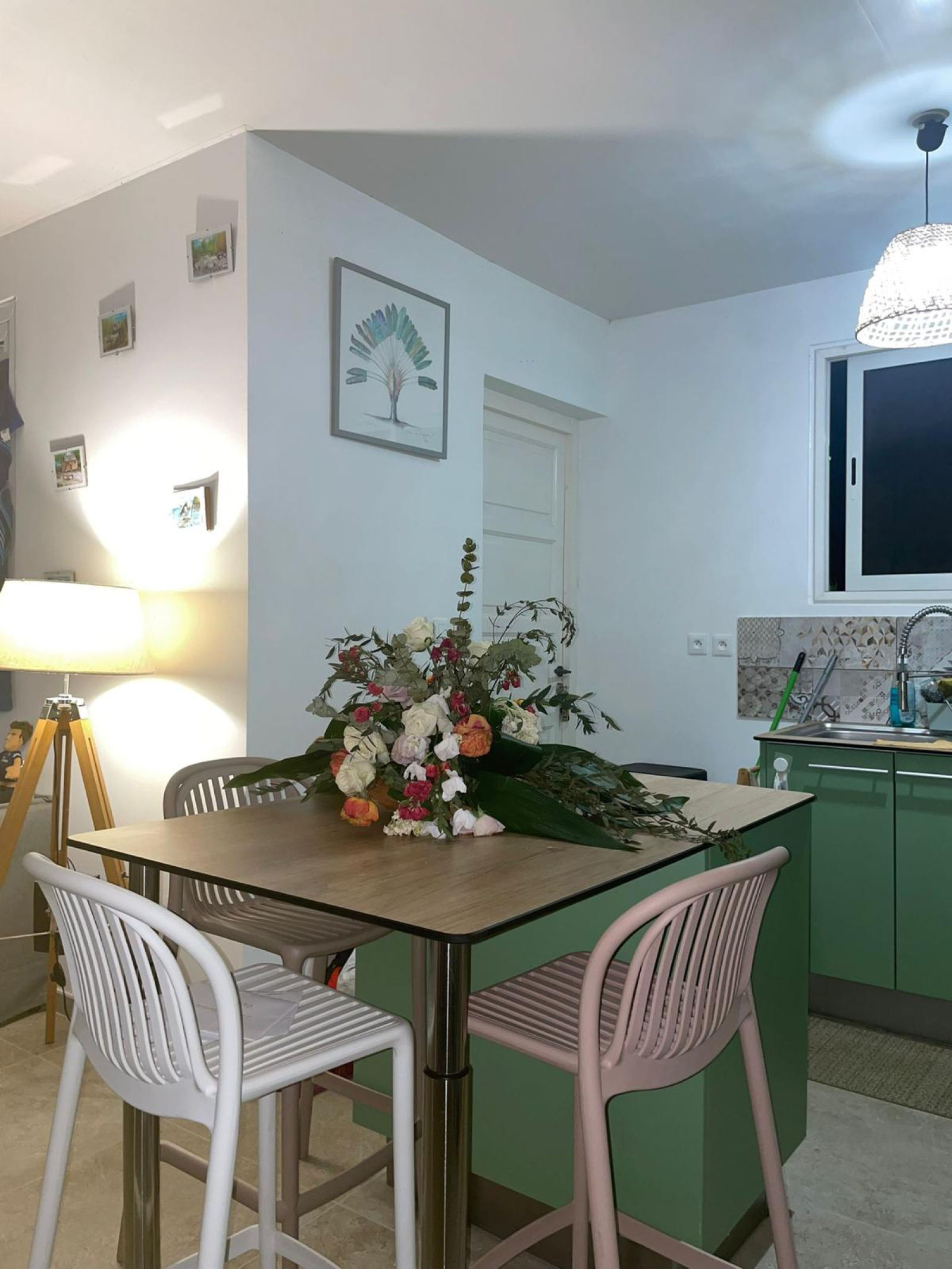 Image_, Maison, Gros-Morne, ref :LAR-ELZ