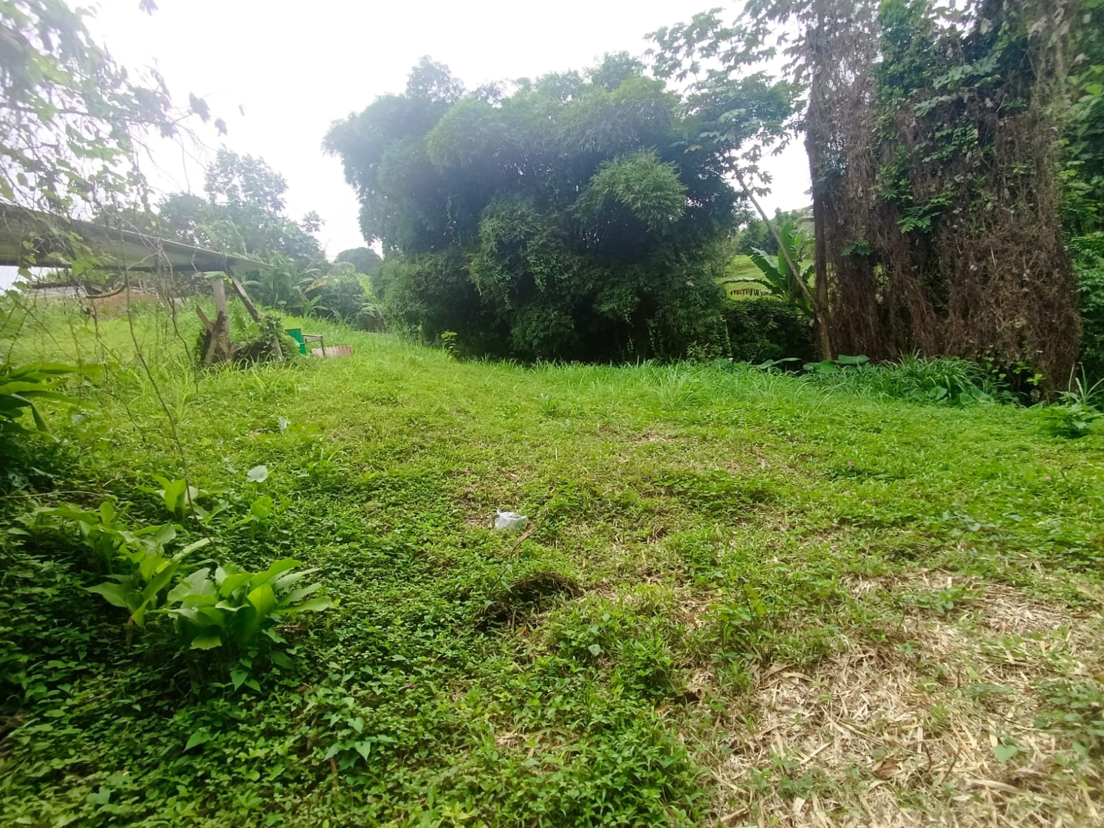 Image_, Terrain, Gros-Morne, ref :2DM-CES