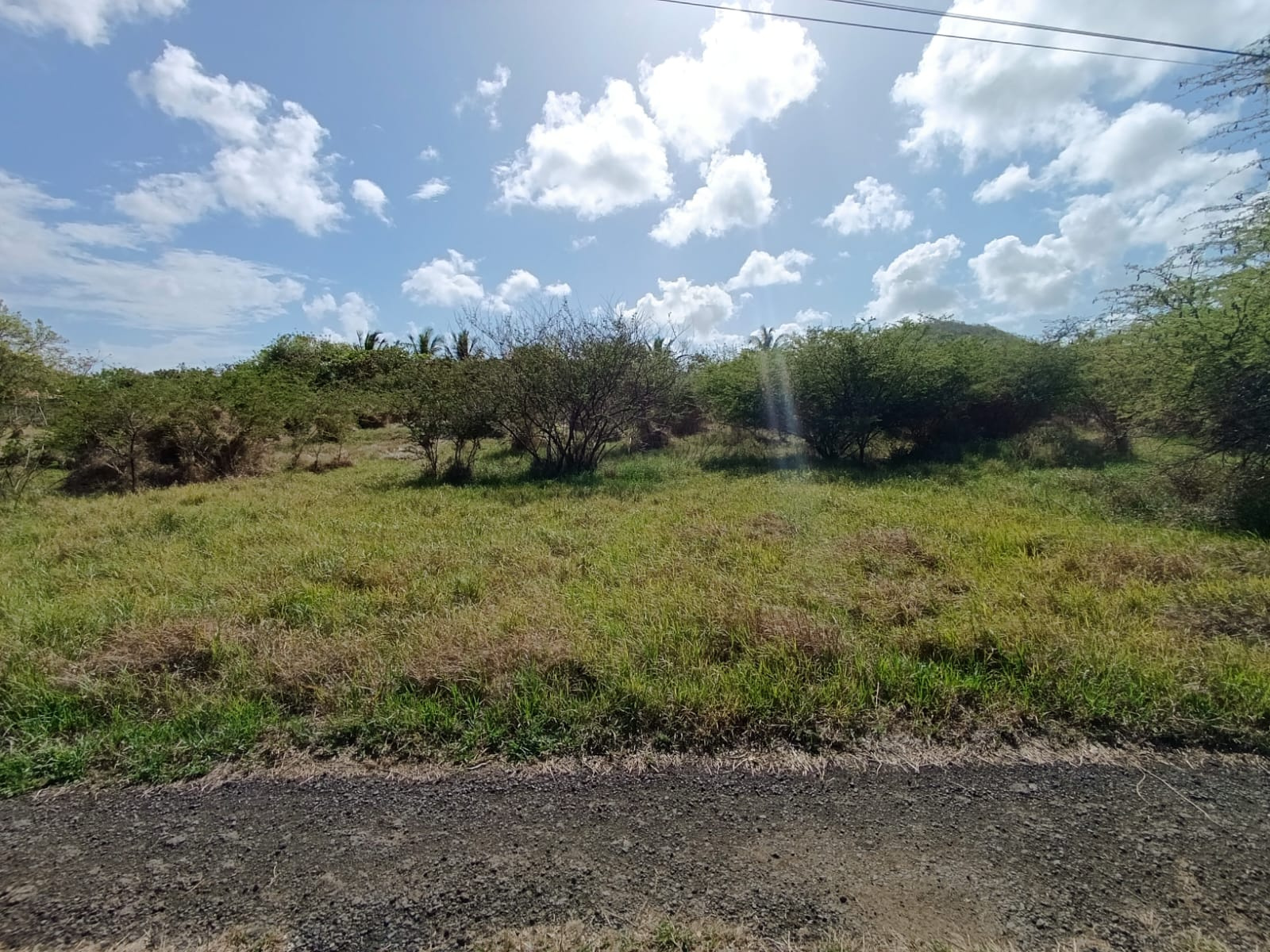 Image_, Terrain, Sainte-Anne, ref :MAR-CAB