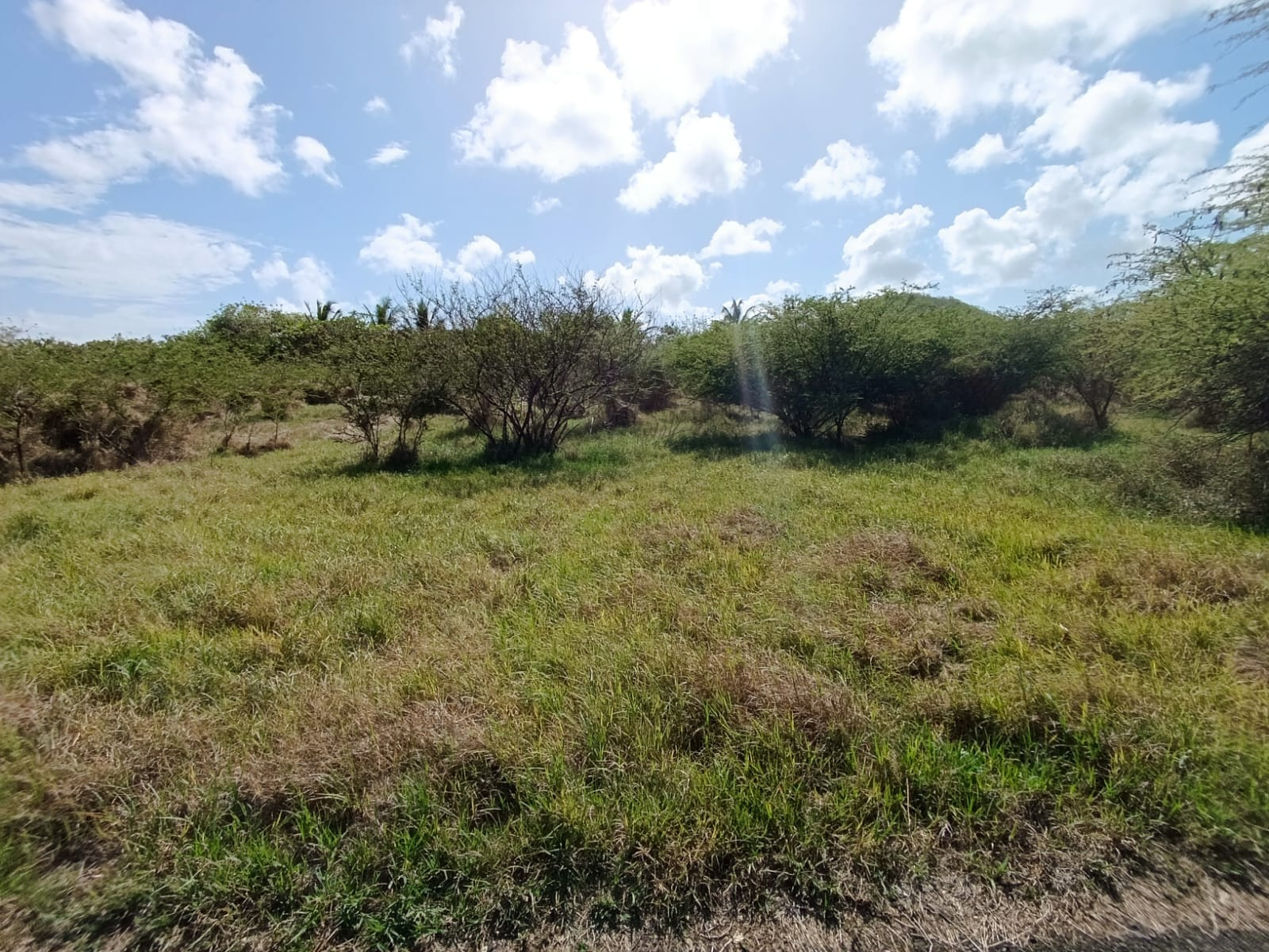 Image_, Terrain, Sainte-Anne, ref :MAR-CAB