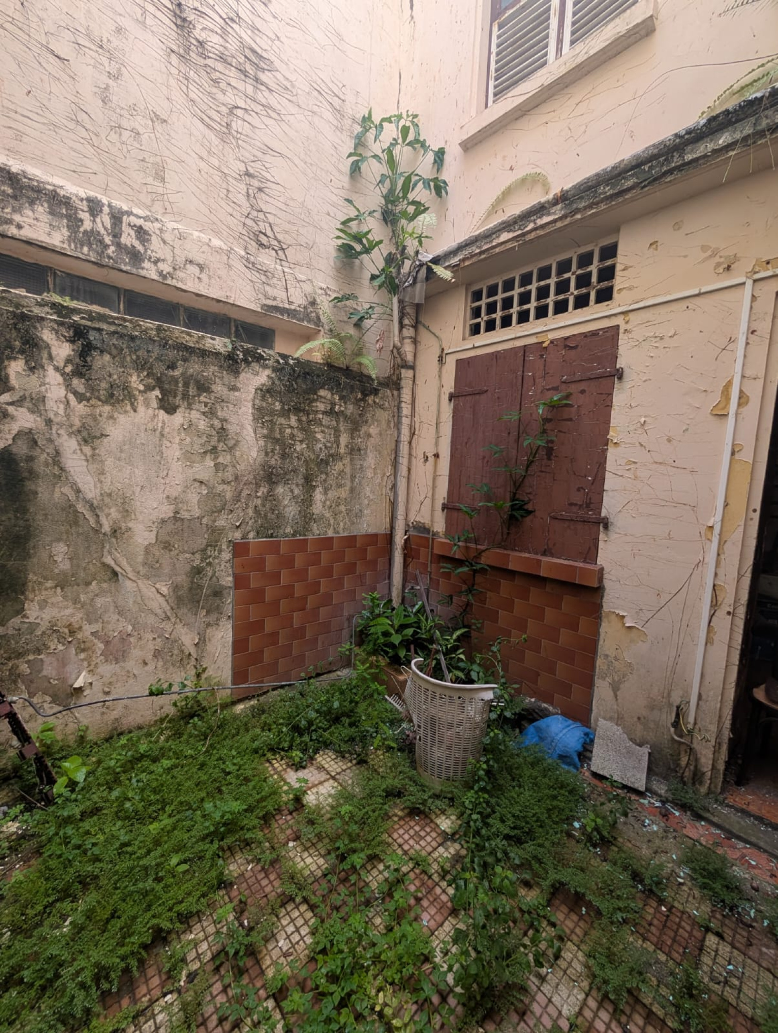 Image_, Maison, Trinité, ref :MAR-DELP