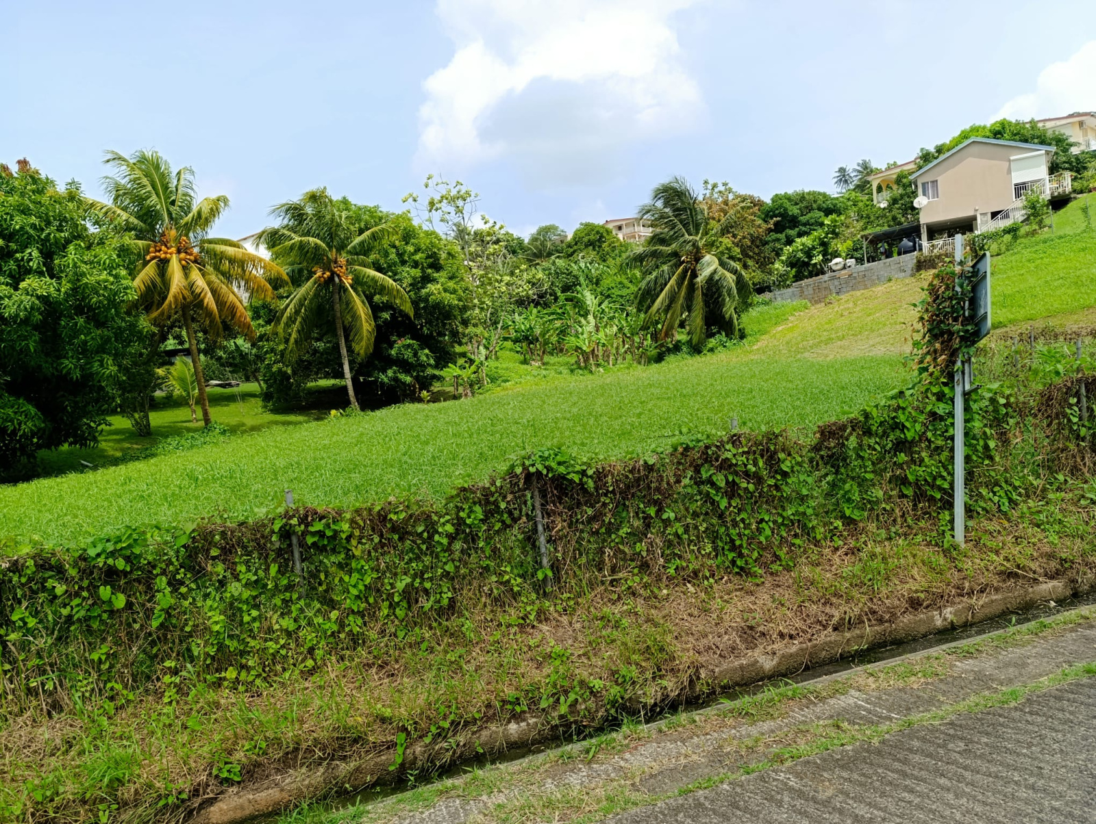 Image_, Terrain, Le Lamentin, ref :MAR-LER
