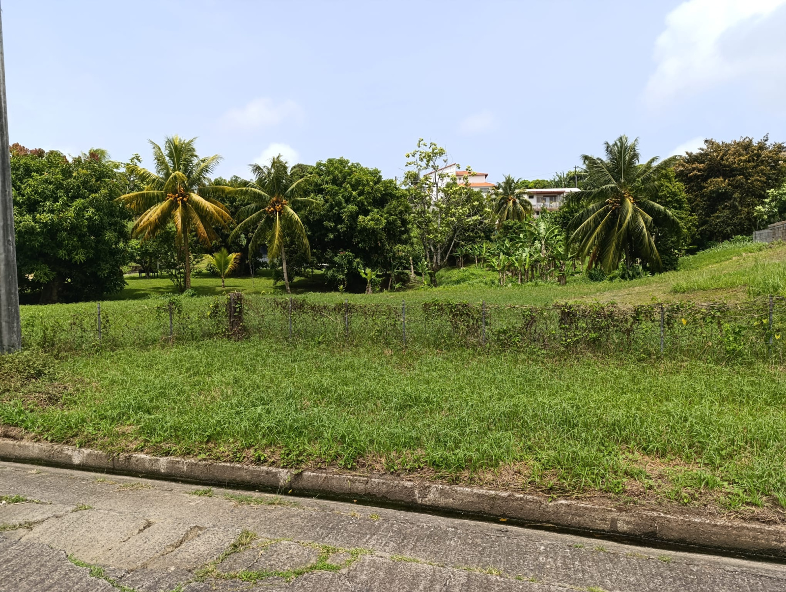 Image_, Terrain, Le Lamentin, ref :MAR-LER