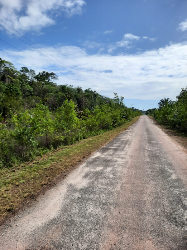 Offres de vente Terrain Mana 97360