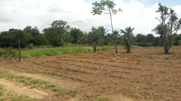 Offres de vente Terrain MACOURIA TONATE 97355